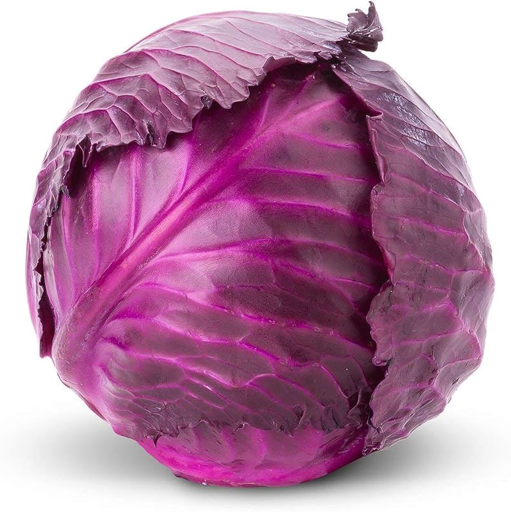 Red Acre Cabbage Seeds for Planting Grow Heirloom Purple Cabbage