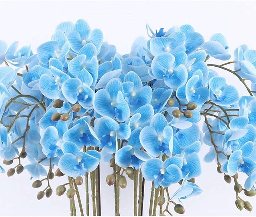 Sky Blue Orchid Flower seeds for Planting - Vibrant Colors, Heirloom & GMO Free Seeds for Home Garden