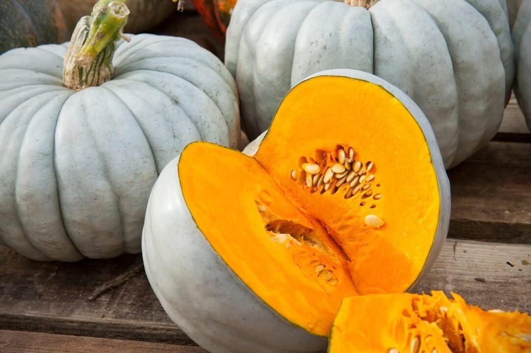 Jarrahdale Pumpkin Seeds For Easy Planting Vegetable Seeds