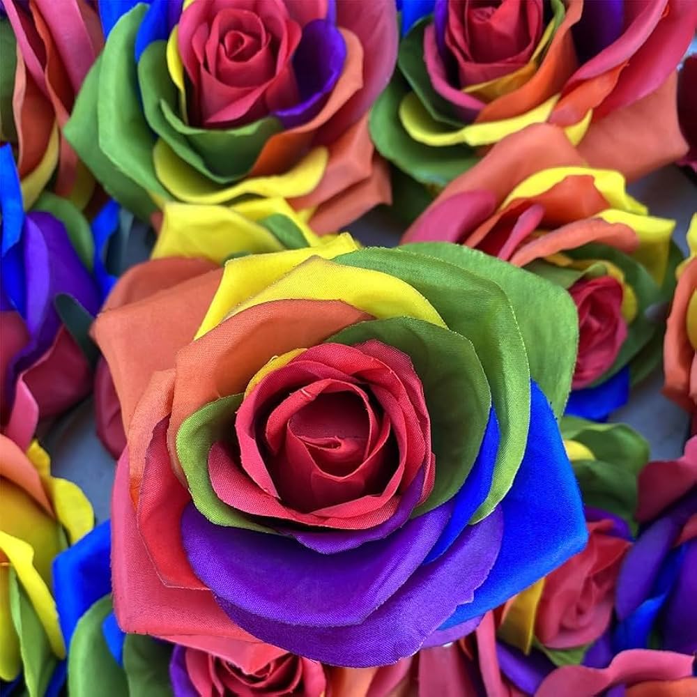 MultiColor Rose Flower Seeds for Planting Heirloom NonGMO Seeds Perfect for Garden Pollinator Friendly
Sale