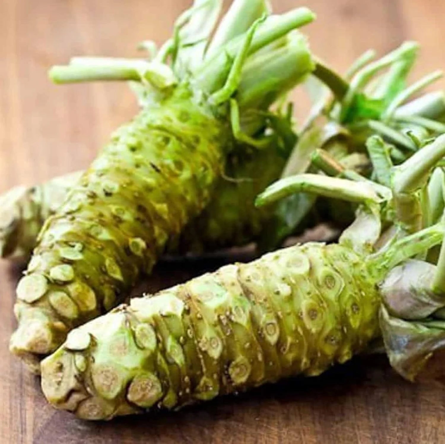 Green Horseradish Vegetable Seeds for Planting
