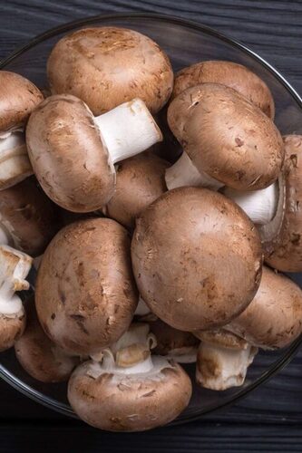 Brown Mushroom Seeds for Planting Premium Vegetable Seeds
