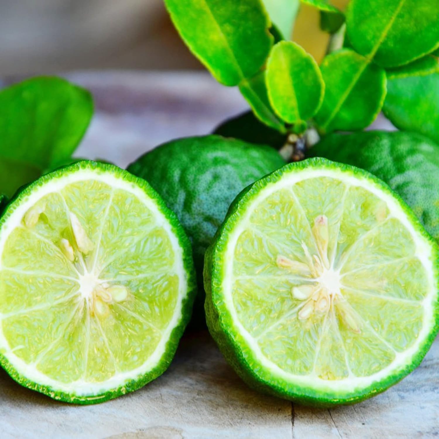 Bergamot Orange Seeds Citrus Bergamia Perennial Evergreen Edible Ornamental Bonsai Outdoor Patio