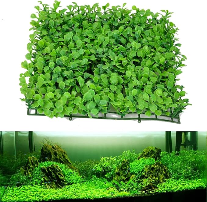 Aquarium Grass Seeds, Water Plants for Indoor Decoration