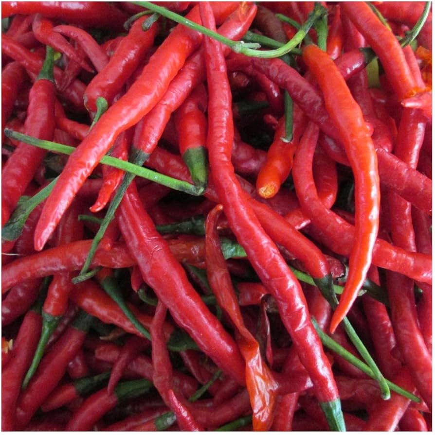 Cayenne Long Red Hot Pepper Seeds for Planting vegetable patch