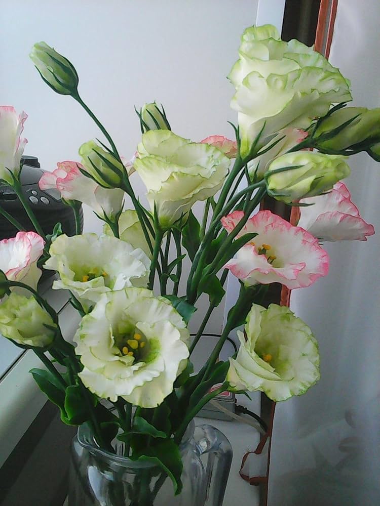 Yellow Lisianthus Flower seeds for Planting - Cottage Garden Essential, Heirloom & GMO Free Seeds for Home Garden
Sale for planting in home garden.