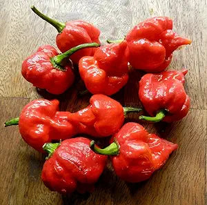 Trinidad Scorpion Moruga Pepper Seeds for Extremely Hot Peppers