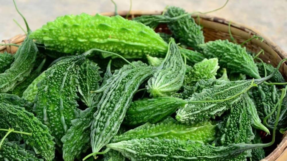 Bitter Gourd Vegetable Seeds for Your Garden