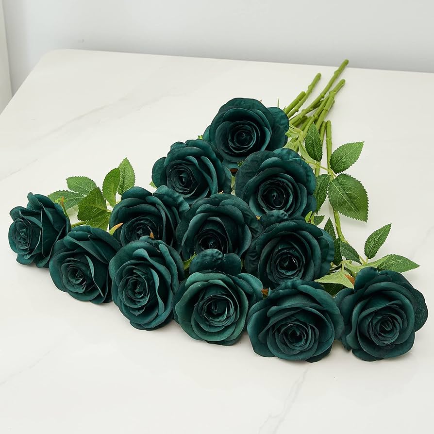 Dark Green Rose Flower Seeds for Planting Shade Tolerant Heirloom & GMO Free Seeds for Home Garden
Sale