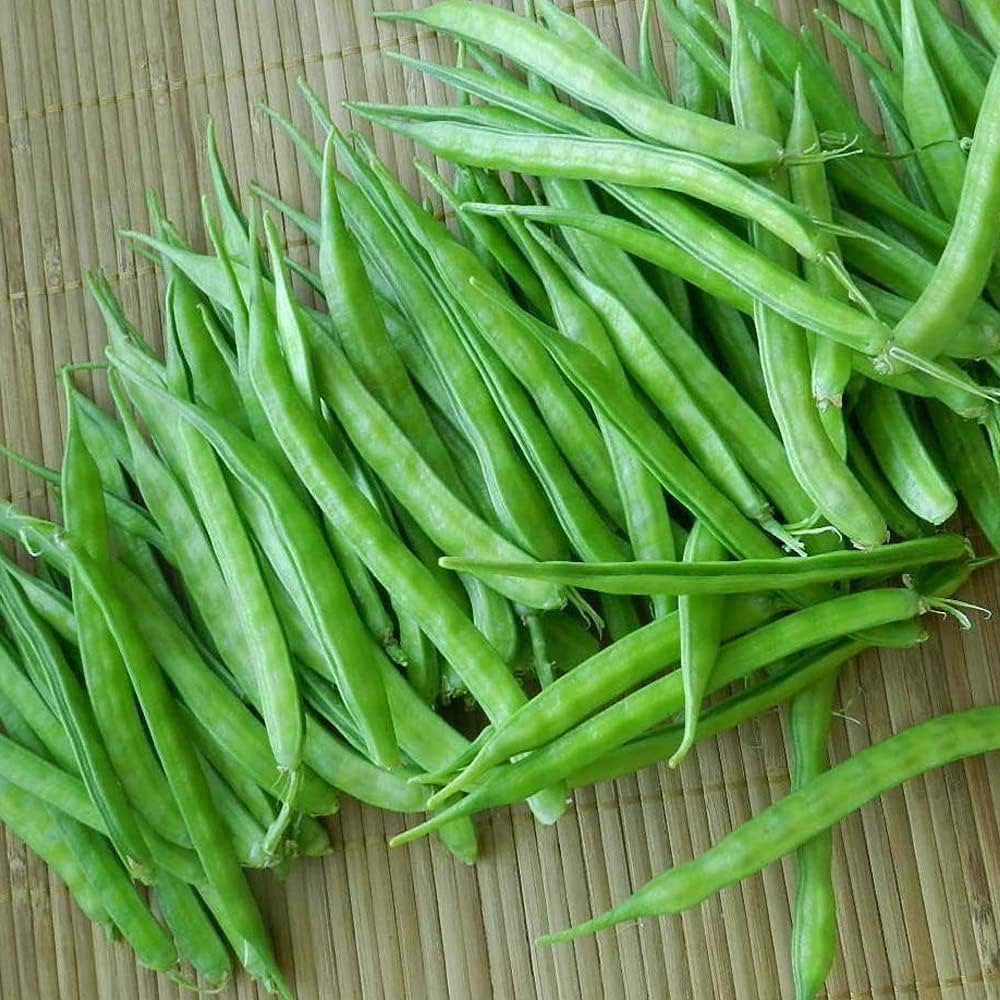 Cluster Bean Cyamopsis tetragonoloba for planting in vegetable garden