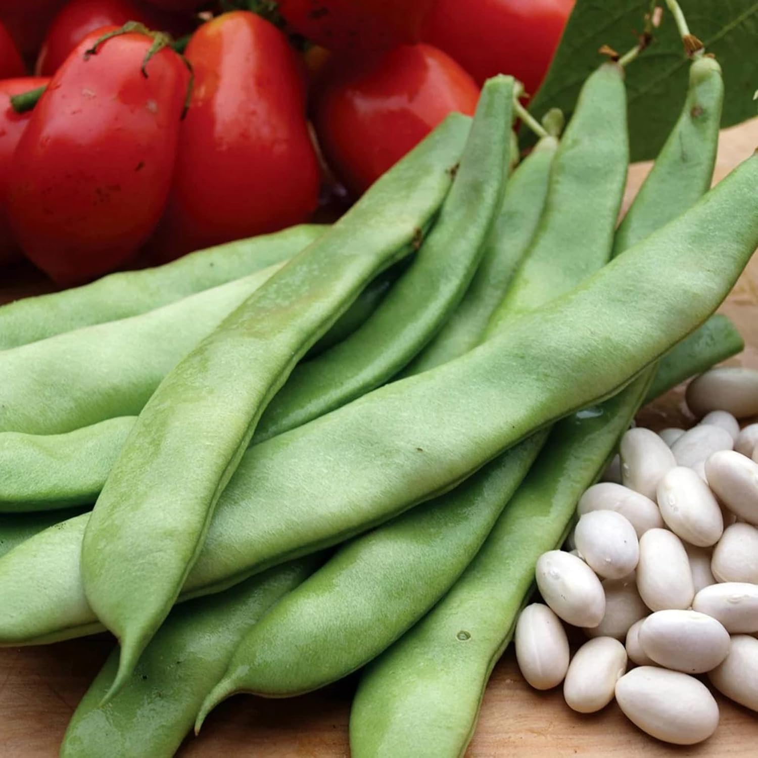 Romano Pole Bean Seeds Italian Tender Texture And Rich Flavor Eaten Fresh Cooked Trellises Poles