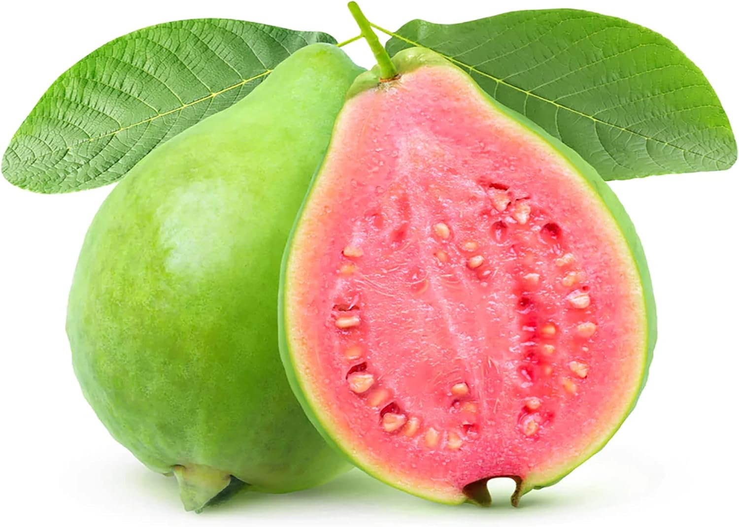 Guava Seeds Red Psidium Guajava Perennial Sweet Fragrant Tropical Fruit Non-Gmo Backyard Plant Best