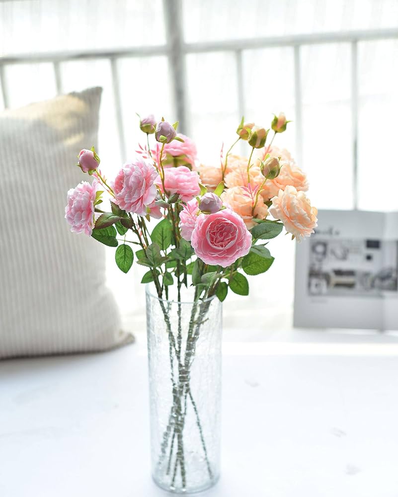 Cabbage Rose Rosa species Seeds for Planting in Flower Bed