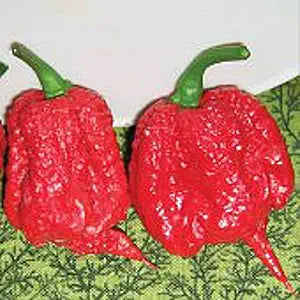Carolina Reaper Pepper Seeds for Extreme Hot Peppers
