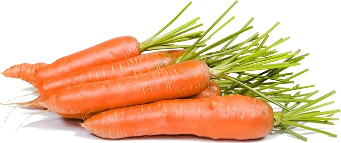 Little Finger Carrot seeds for petite carrots