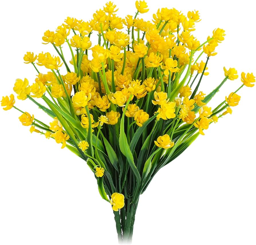 Rapeseed Flowers Brassica napus for Planting in Flower Bed