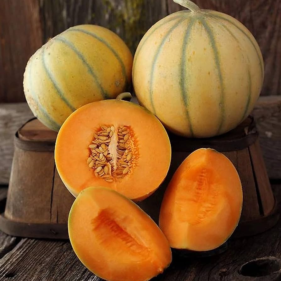 Charentais Melon Seeds for Planting - Sweet and Aromatic Summer Fruit