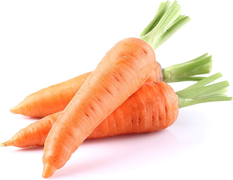 Carrot Daucus Carota Seeds for Planting