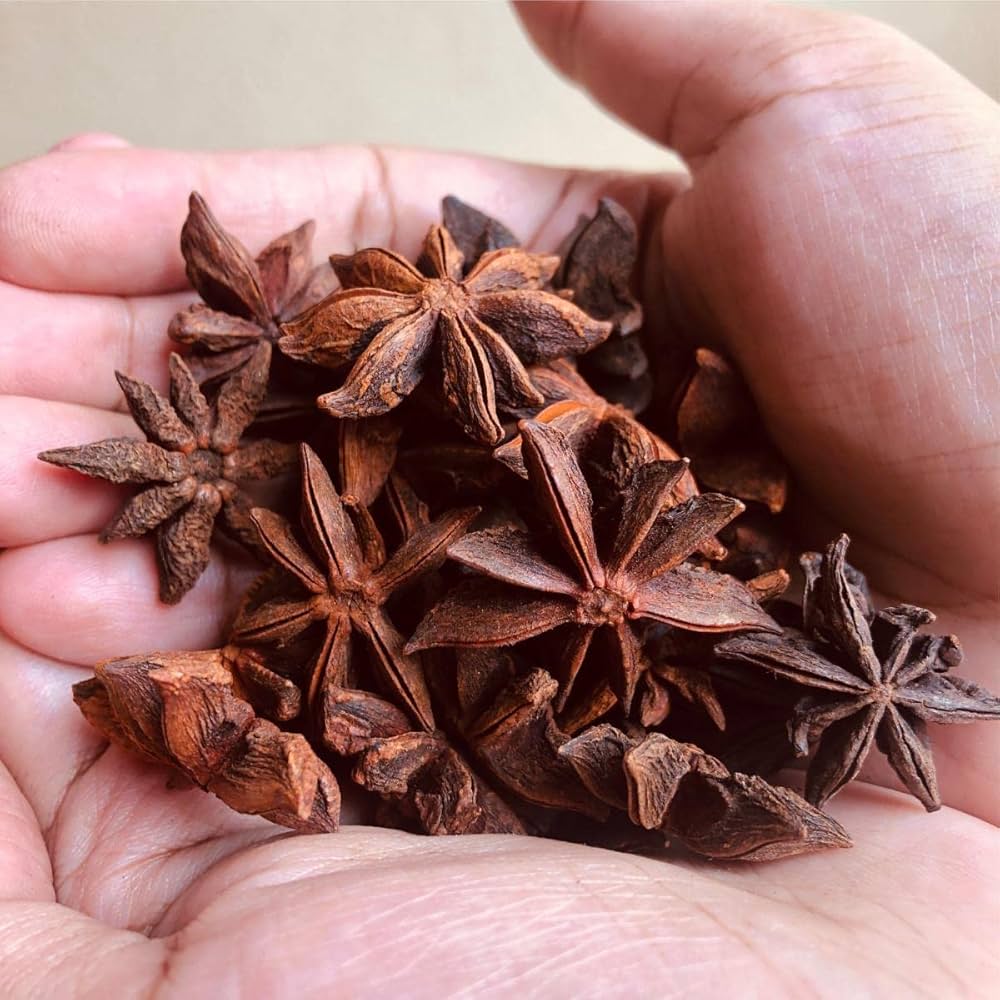 Anise Myrrhis Odorata Flower Seeds for Planting in Herb Garden and Garden