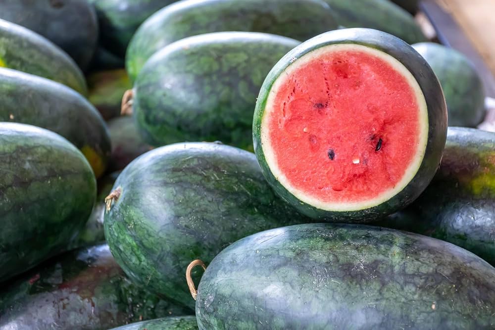 Giant Watermelon Citrullus lanatus Fruit Seeds for Planting in Vegetable Patch - Evergrowseeds