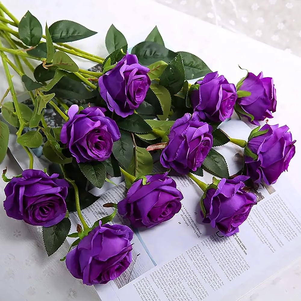 Rose Seeds Rosa for Planting in Flower Bed & Garden