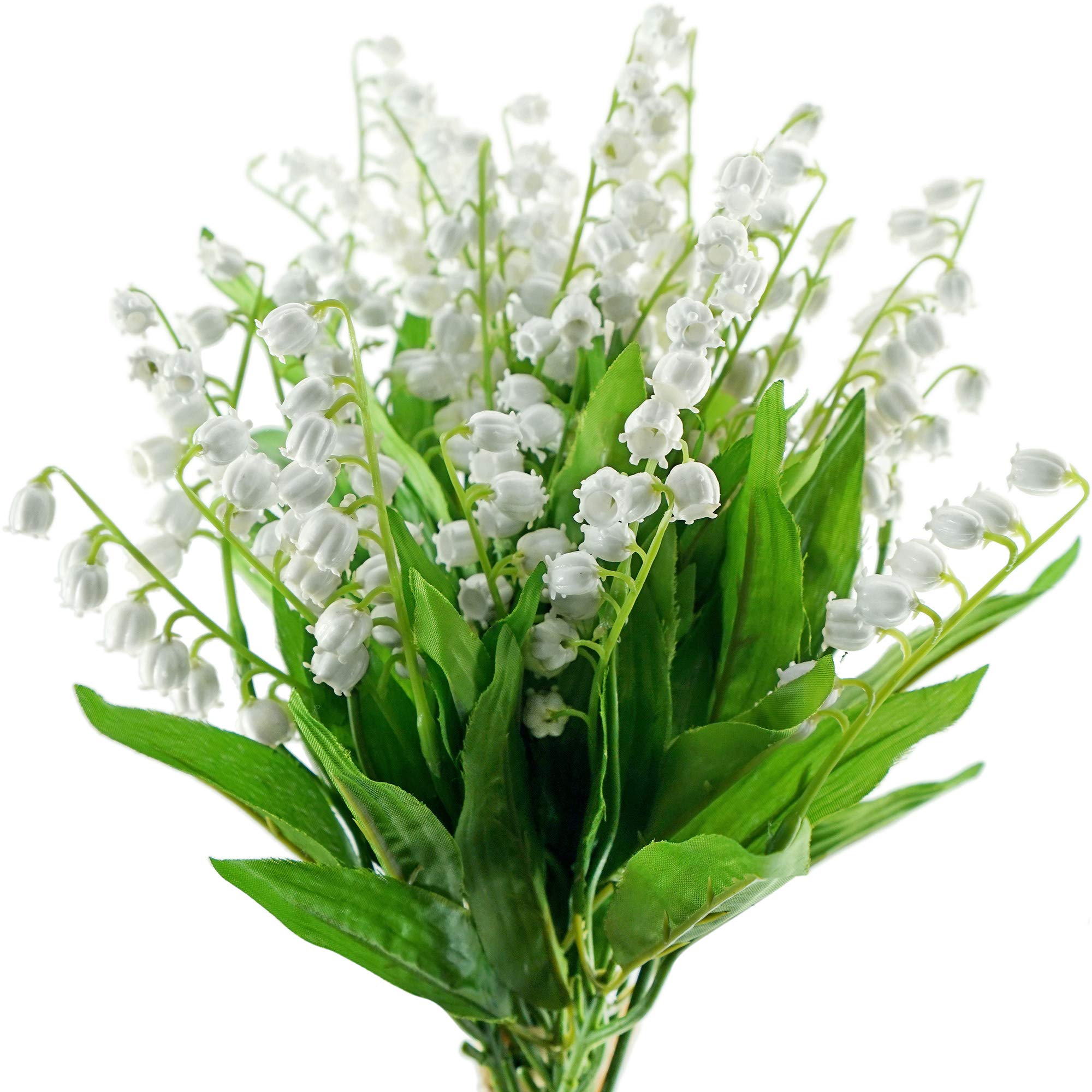 Maiglöckchen Flowers Indoor Rare Bell-Orchidee Seeds