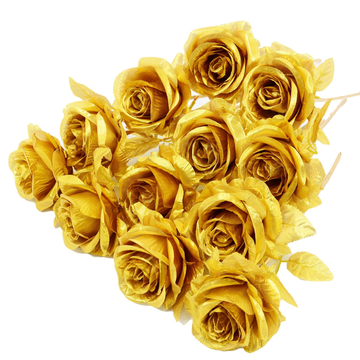 Gold Rose Flower seeds blooming in flower beds, containers, borders, and pollinator-friendly gardens
