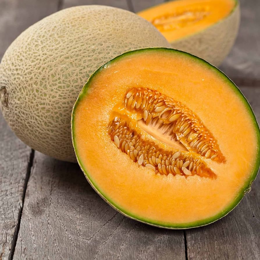 Cantaloupe Seeds for Planting Cucumis melo for vegetable patch and backyard garden