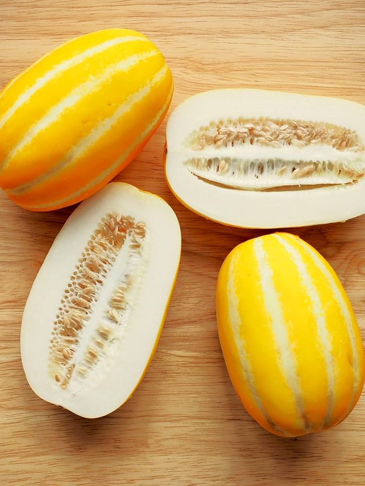 Korean Melon Seeds for Planting Cucumis melo var. makuwa for urban gardens and raised beds