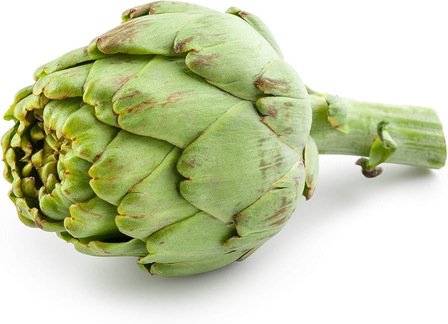 Jerusalem Seeds for Planting Cynara scolymus for vegetable patches and home gardens