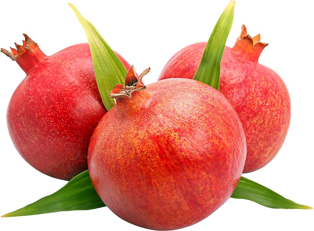 Pomegranate Punica granatum Fruit Seeds for Planting in Vegetable Patch