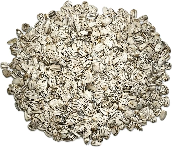 Sunflower Mammoth Grey Stripe Seeds for Large Garden Sunflowers