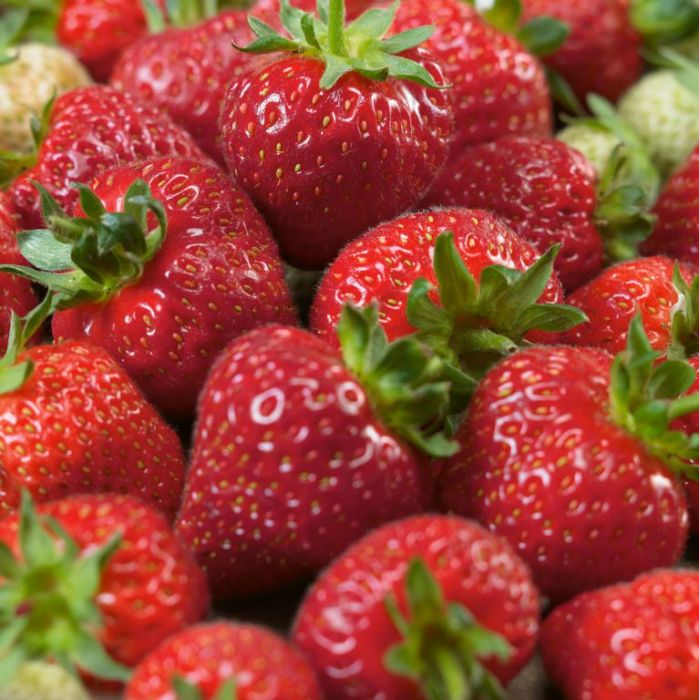 Japanese Hokowase Strawberry Seeds for Planting - Sweet & Juicy Fruit Seeds