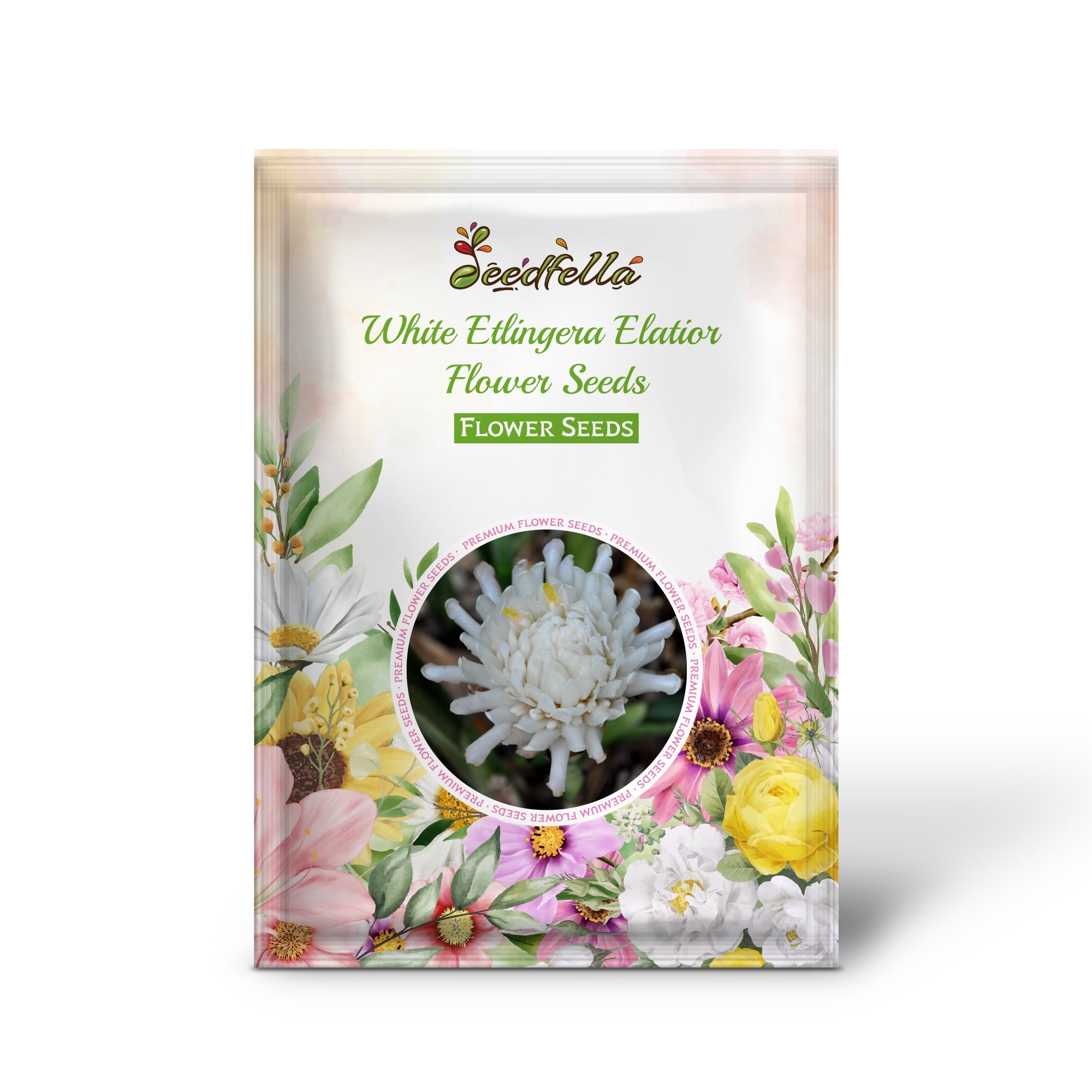 White Etlingera Elatior Flower Seeds for Planting Tropical Beauty