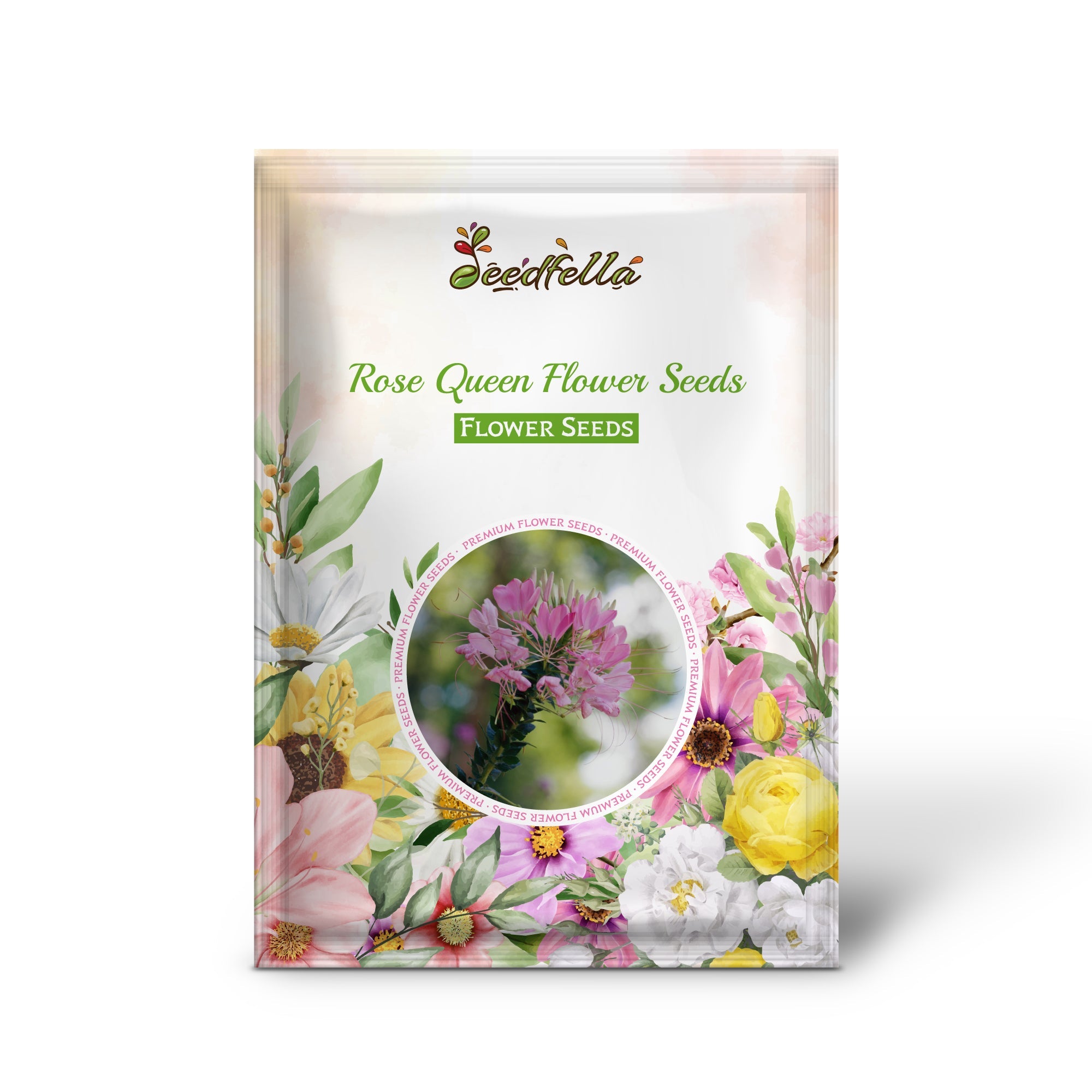 Rose Queen Flower Seeds for Planting Enhance Your Garden with Vibrant Blooms