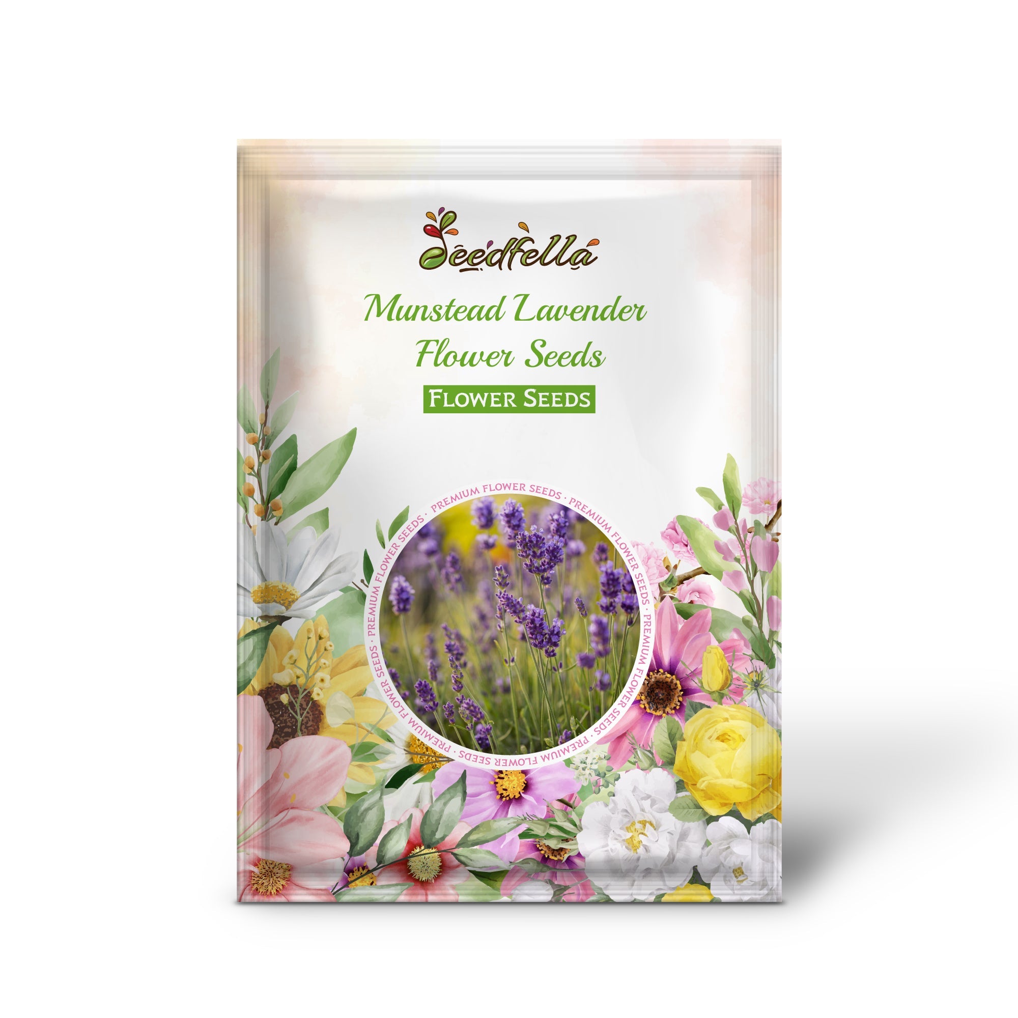 Munstead Lavender Flower Seeds for Planting - Grow Beautiful Lavender in Your Garden