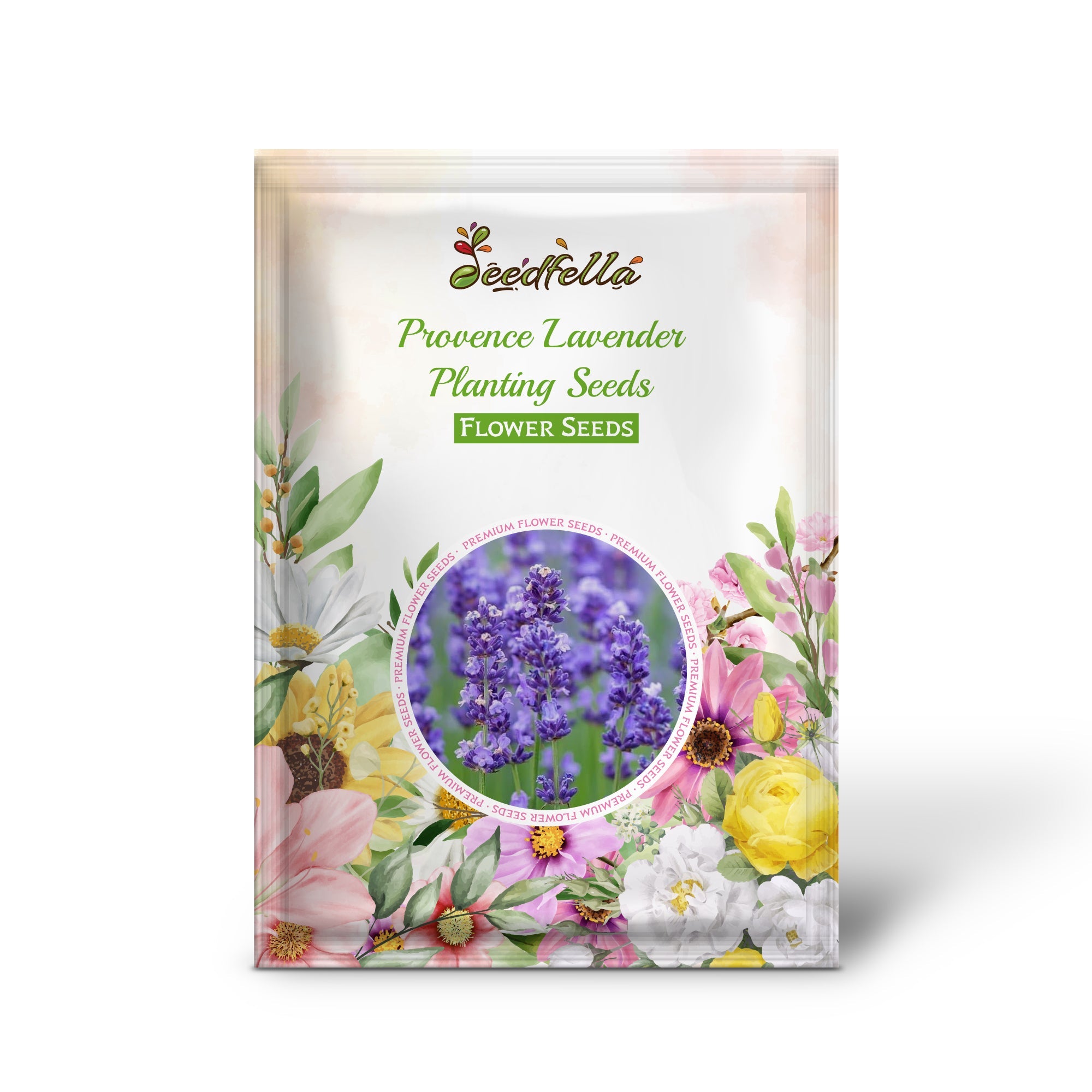 Provence Lavender Planting Seeds - Grow Elegant Perennial Flowers