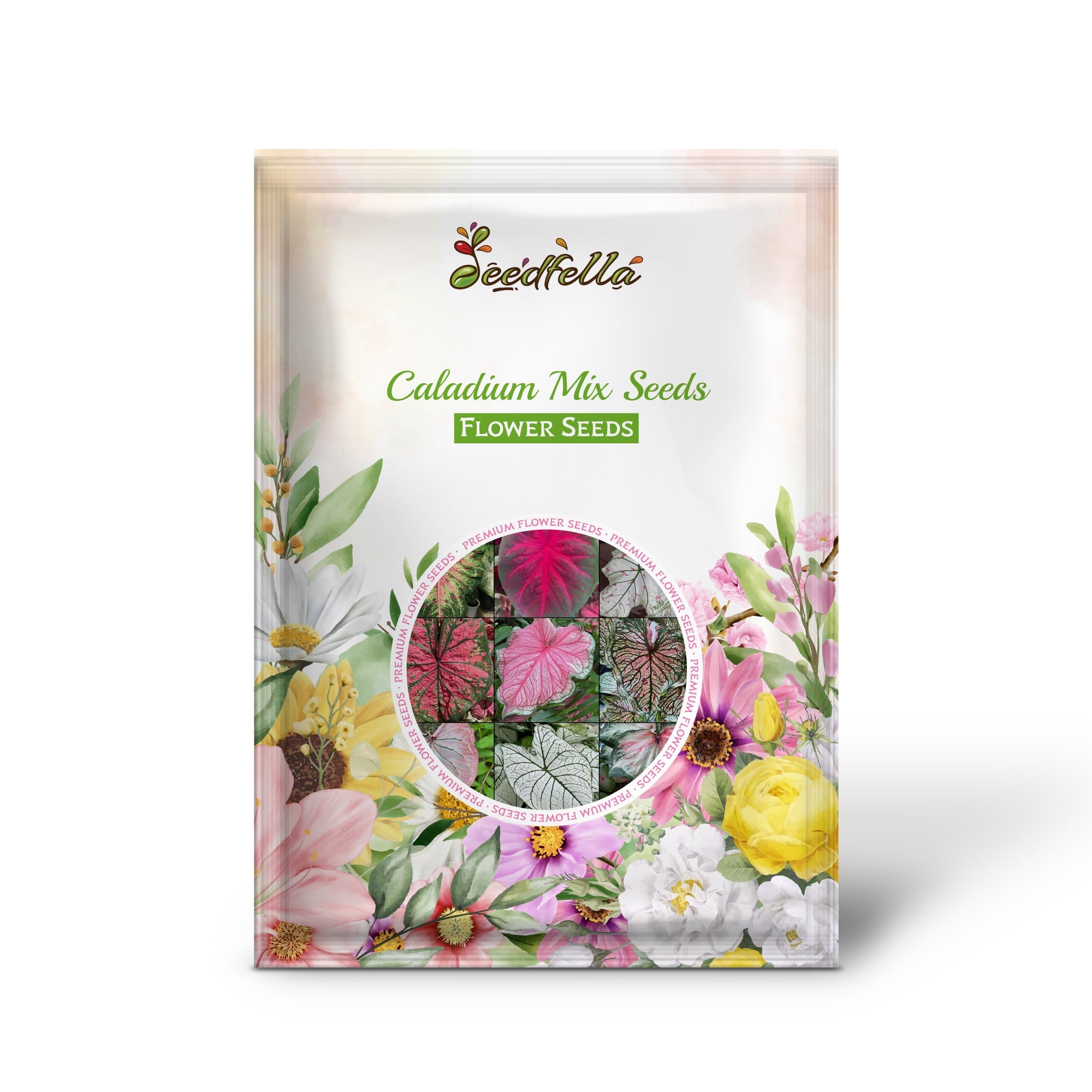 Caladium Mix Seeds for Planting Vibrant Foliage for Garden and Indoors