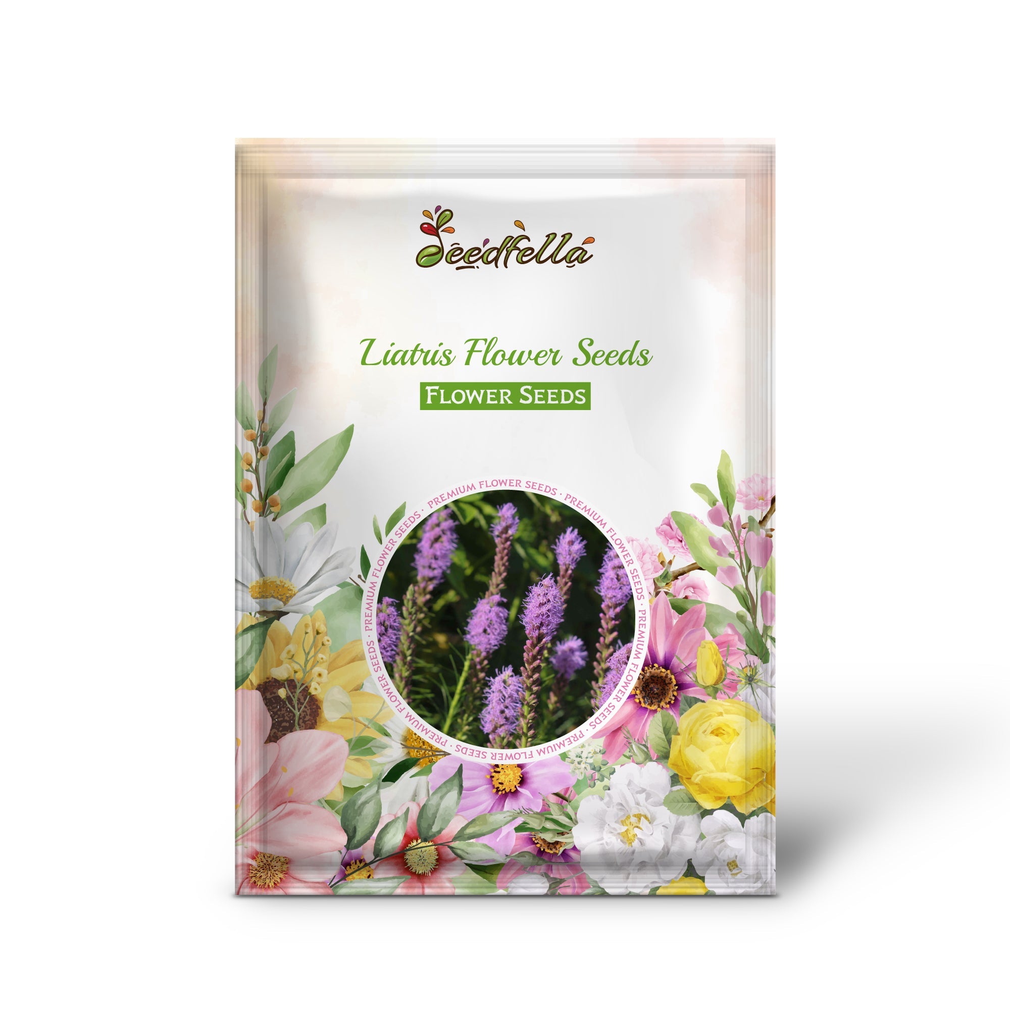 Liatris Flower Seeds for Planting Vibrant Perennial Blooms