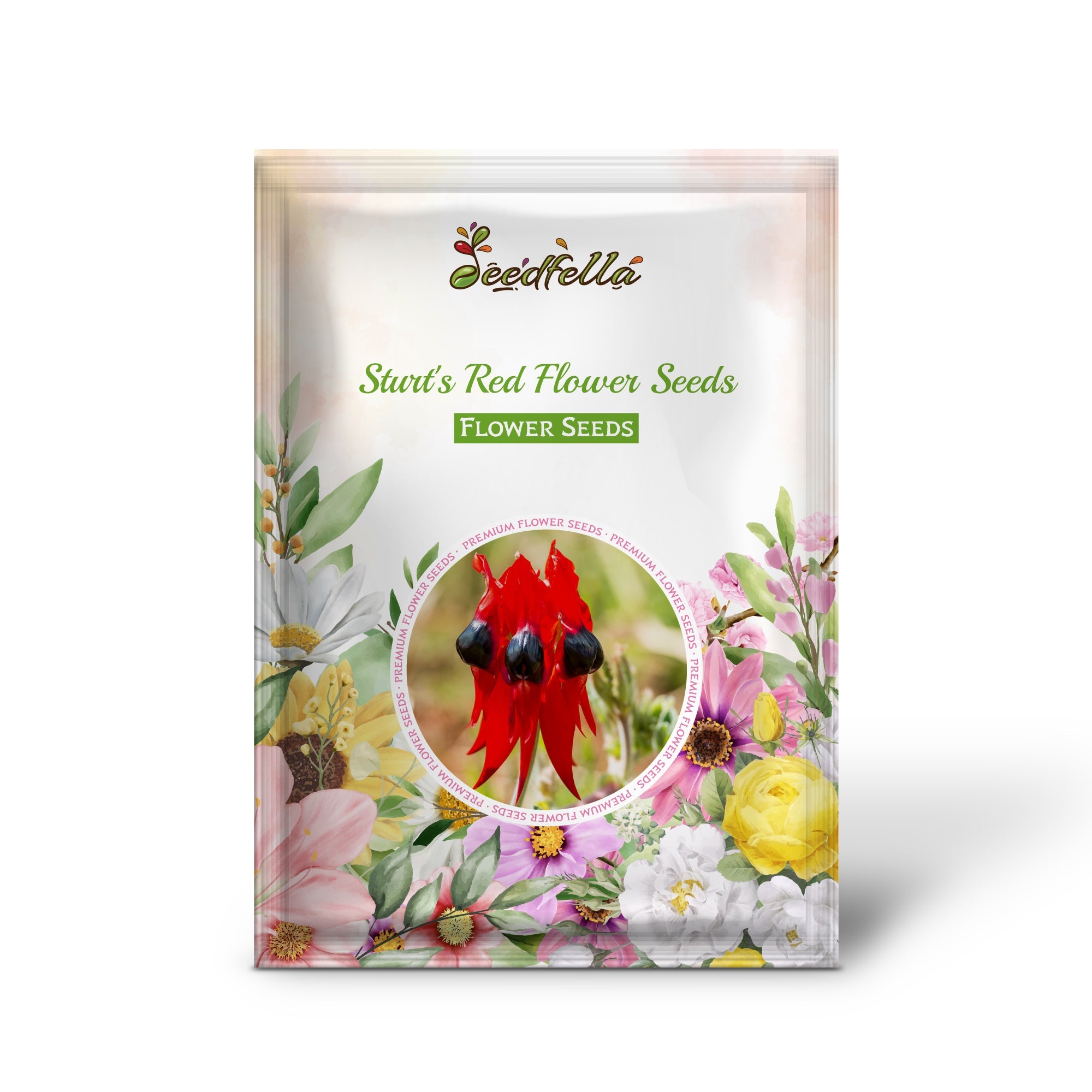 Sturt's Red Flower Seeds for Planting - Vibrant Blooms for Your Garden