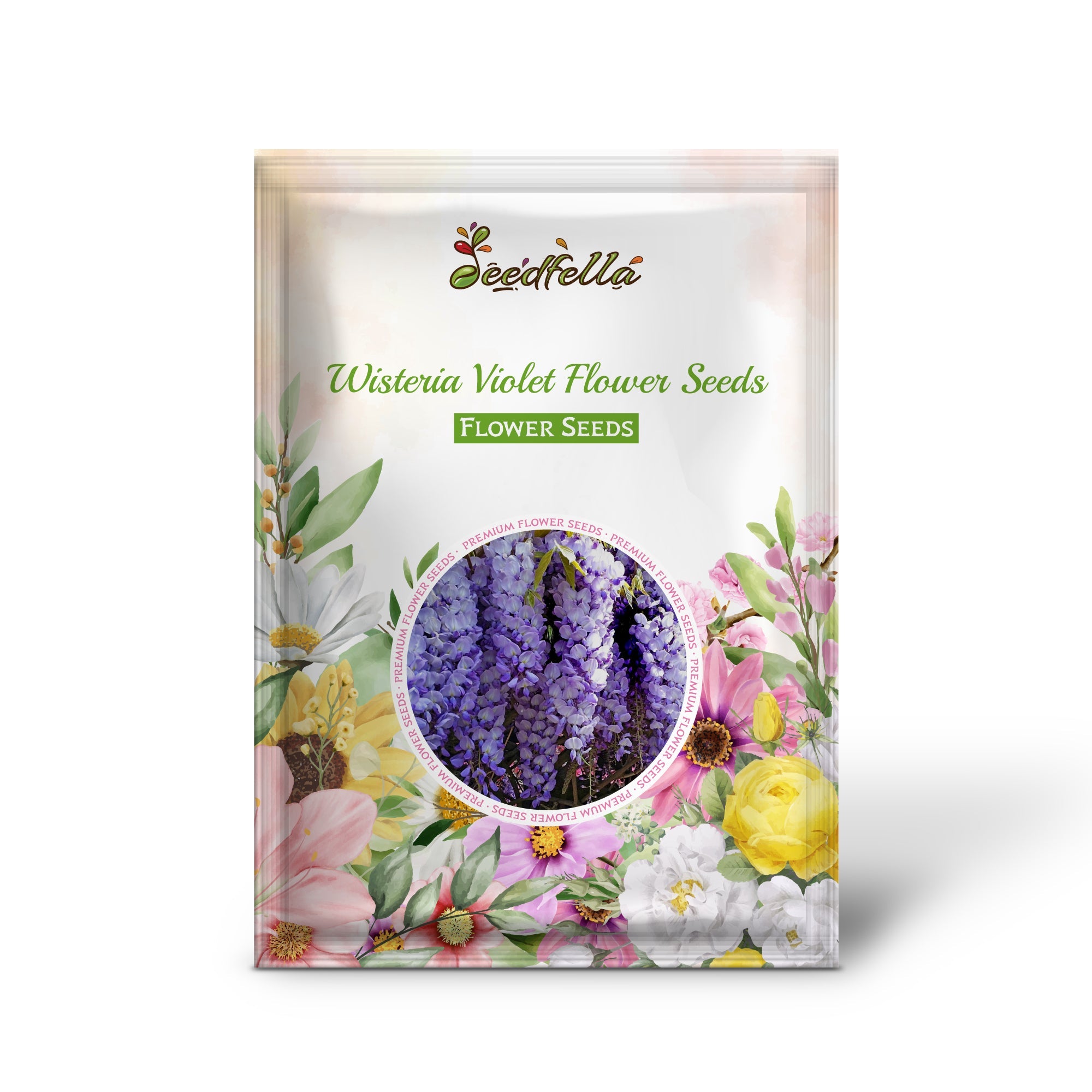 Wisteria Violet Flower Seeds for Planting Seed for Beautifully Cascading Blooms in Your Garden
