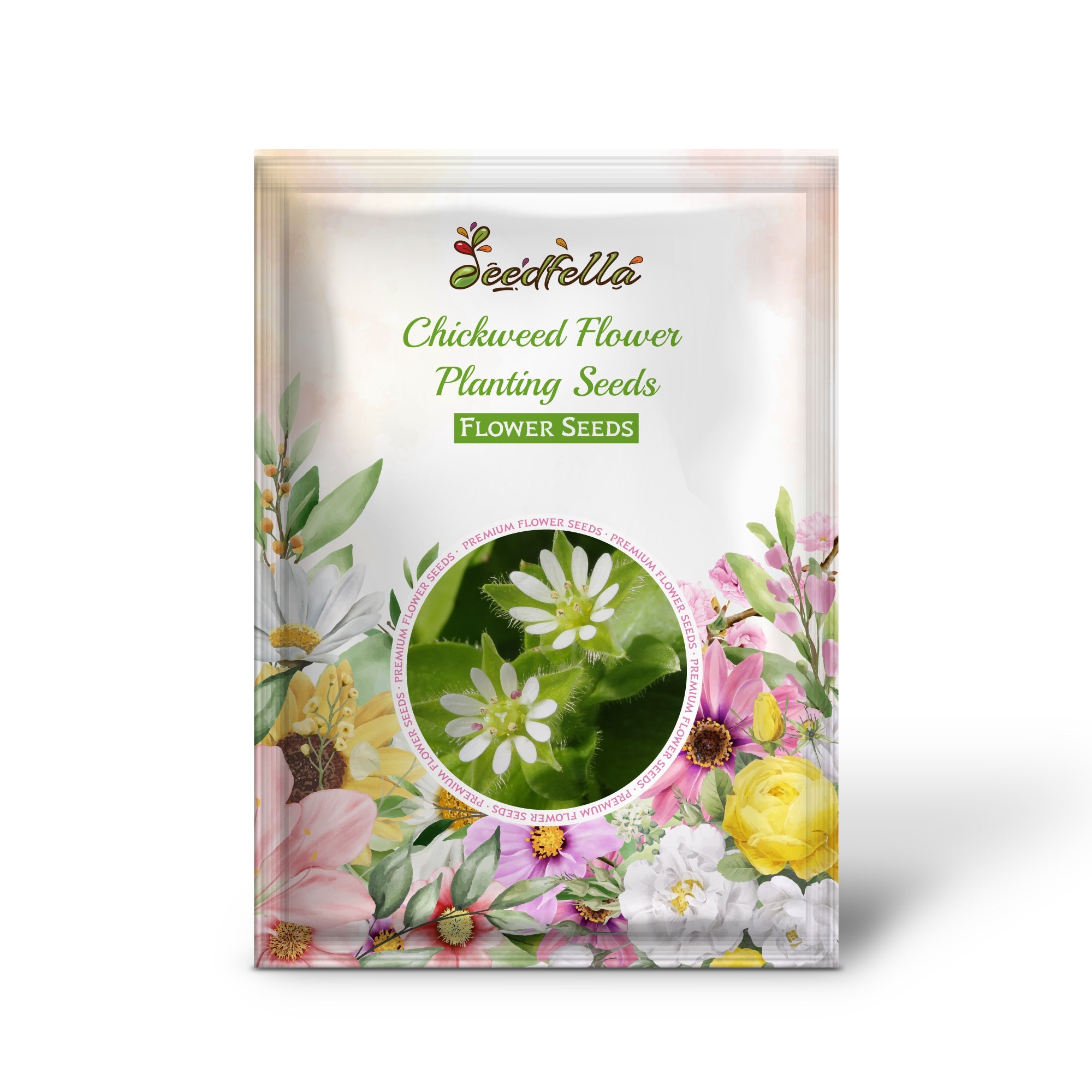 Chickweed Flower Planting Seeds Perfect for Easy Gardening