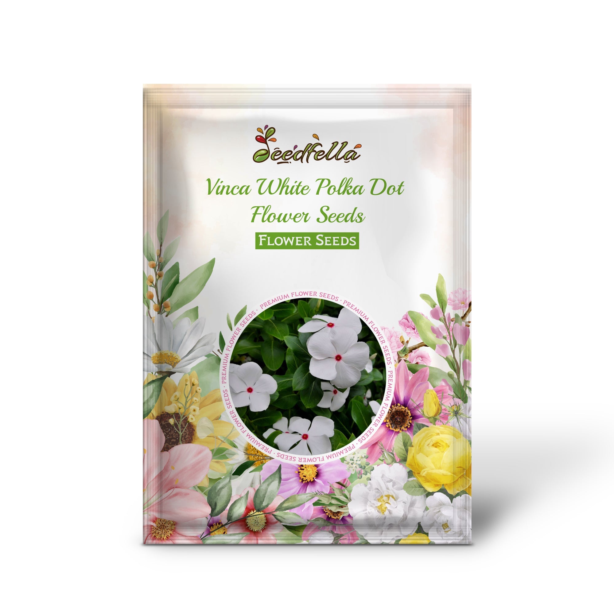 Vinca White Polka Dot Flower Seeds for Planting Unique Annuals for Your Garden