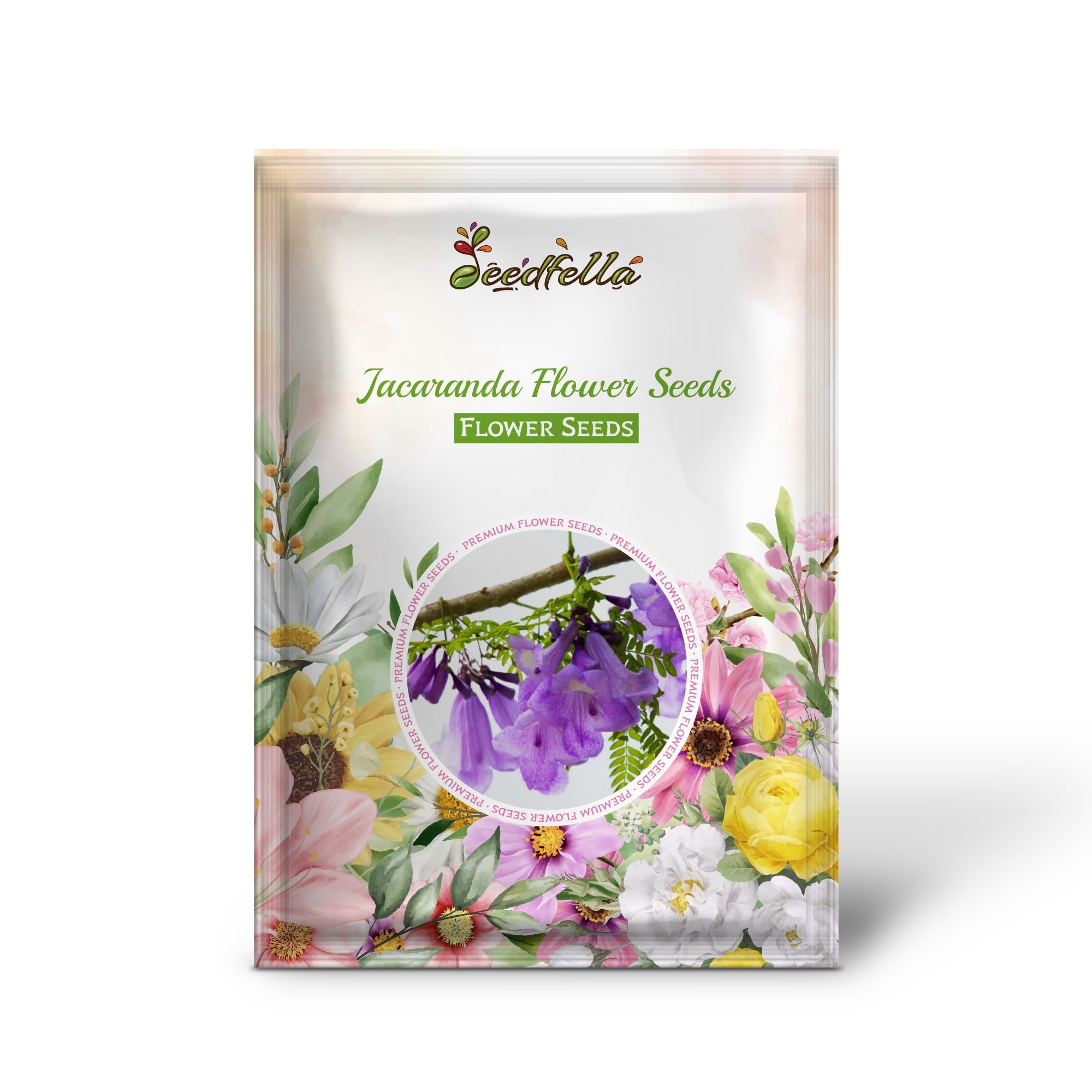 Jacaranda Flower Seeds for Planting Create a Vibrant Garden