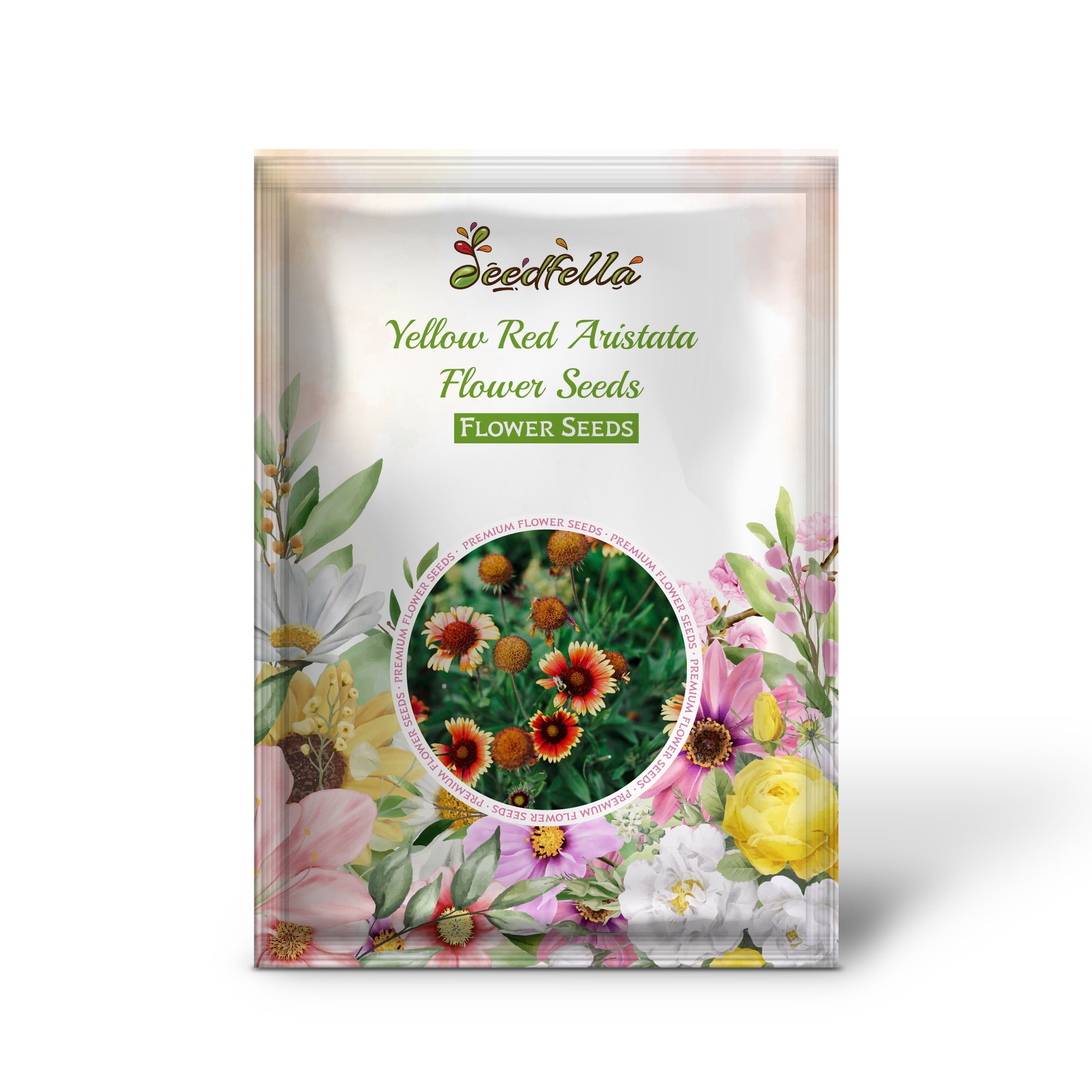 Yellow Red Aristata Flower Seeds for Garden Planting Vibrant Blooms