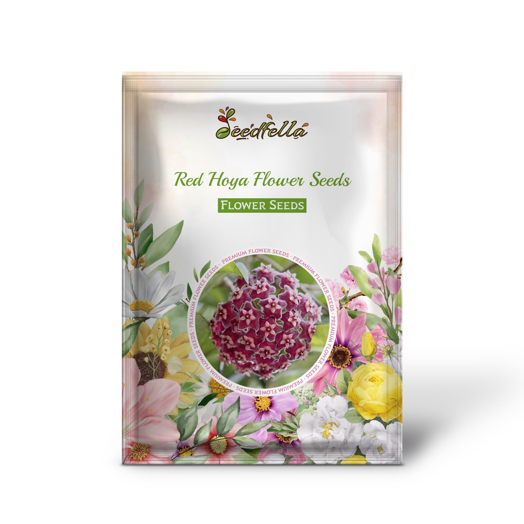 Red Hoya Flower Seeds for Planting - Vibrant Star-Shaped Blooms