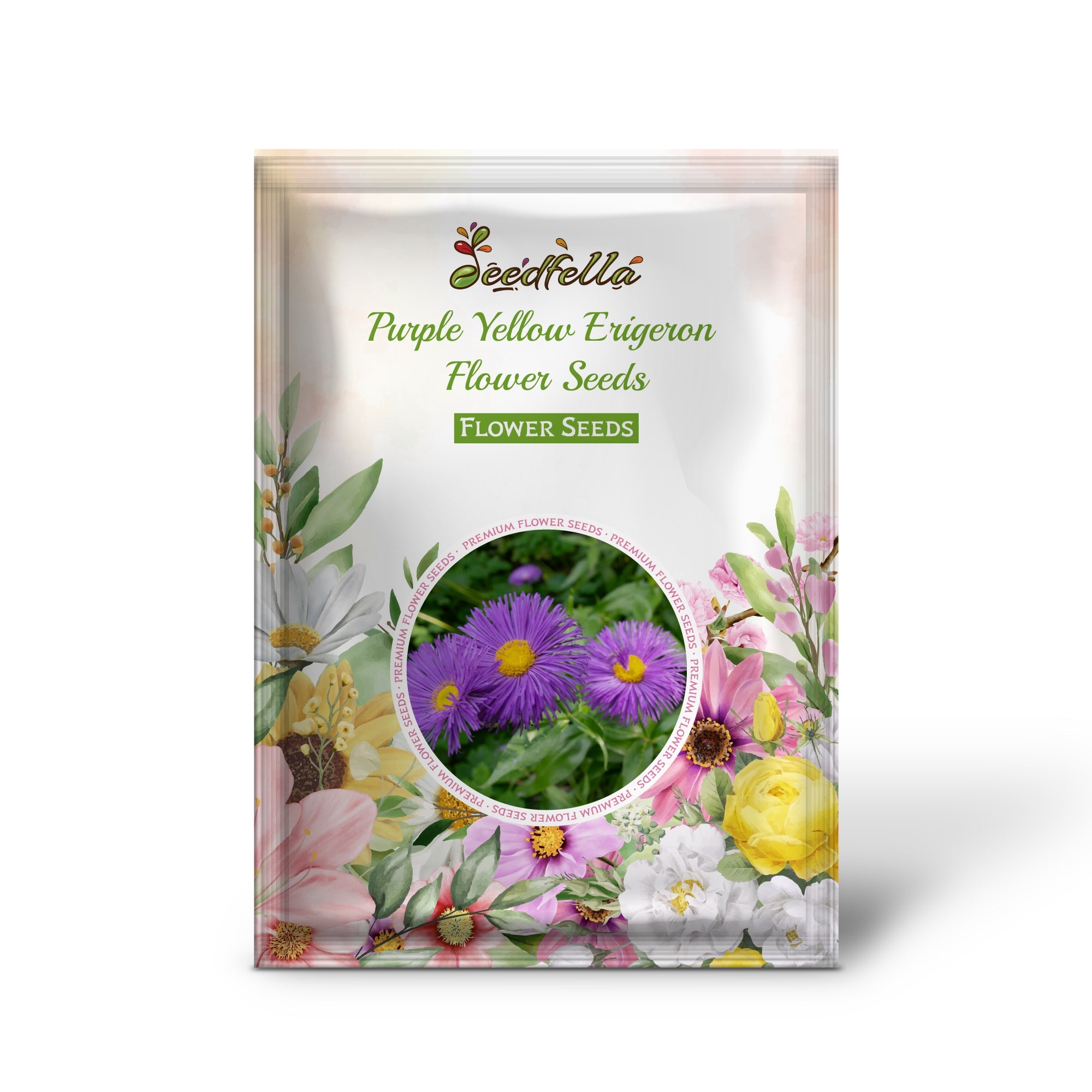 Purple Yellow Erigeron Flower Seeds for Vibrant Planting