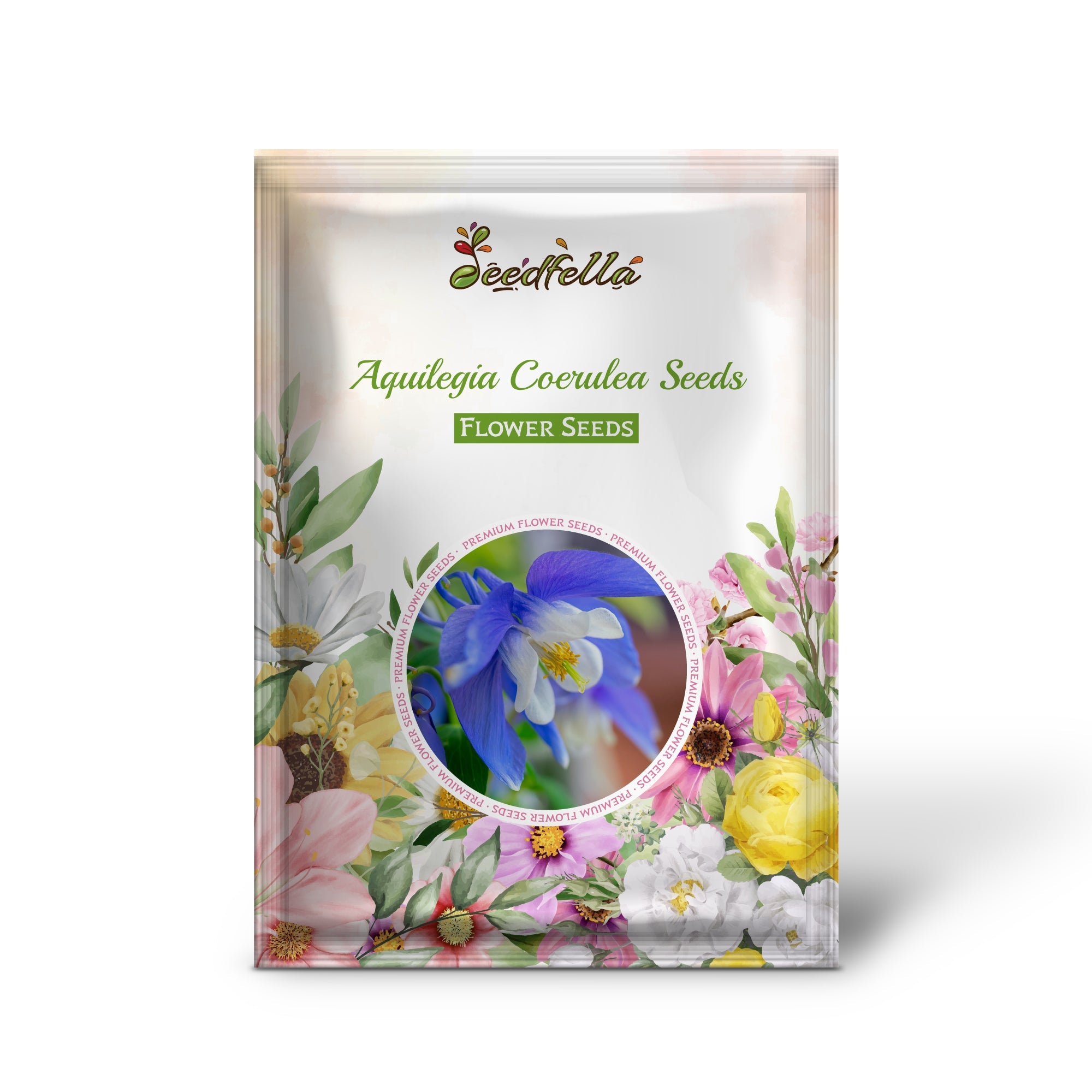 Aquilegia Coerulea Seeds for Planting - Blue & White Flowers