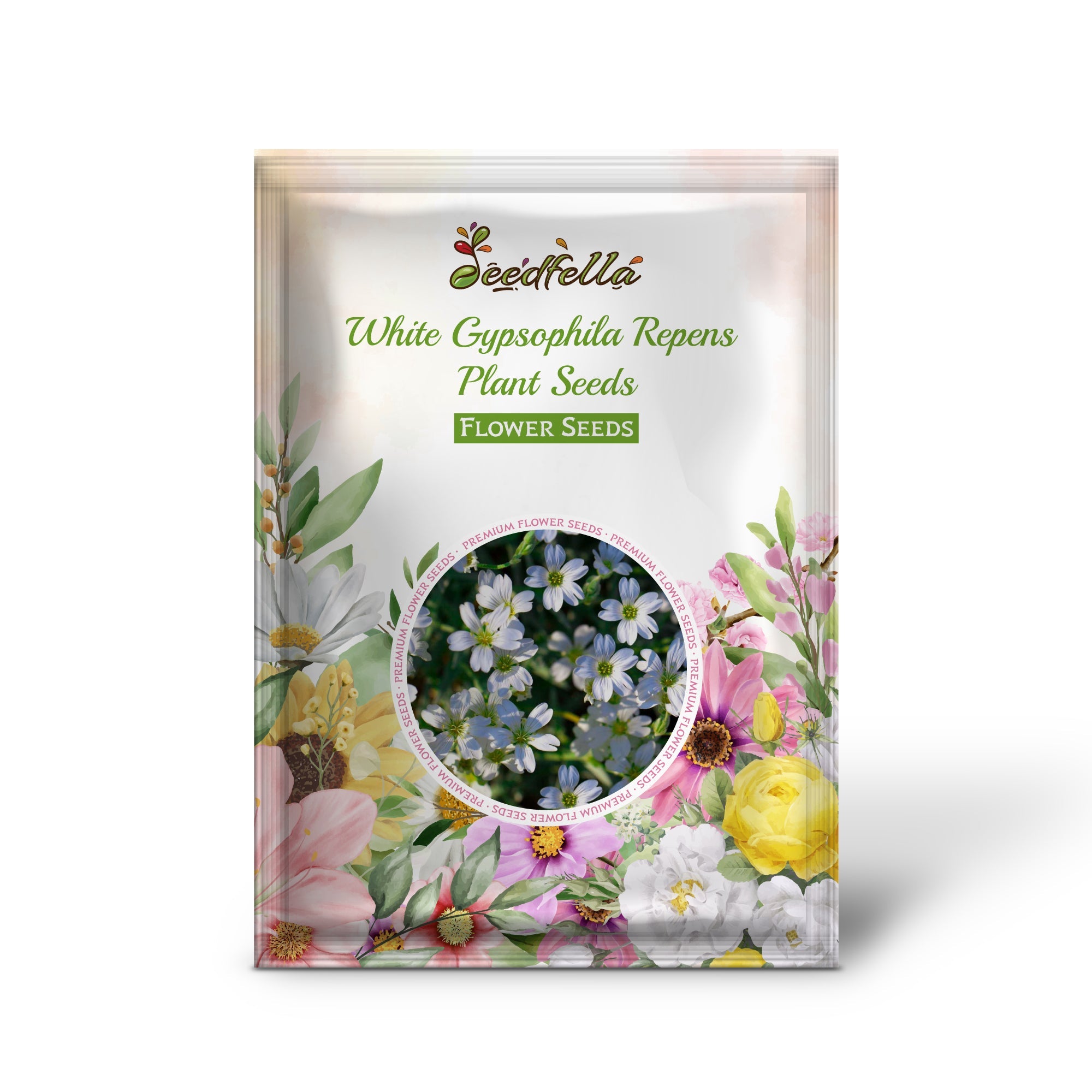 White Gypsophila Repens Plant Seeds for Vibrant Garden Displays
