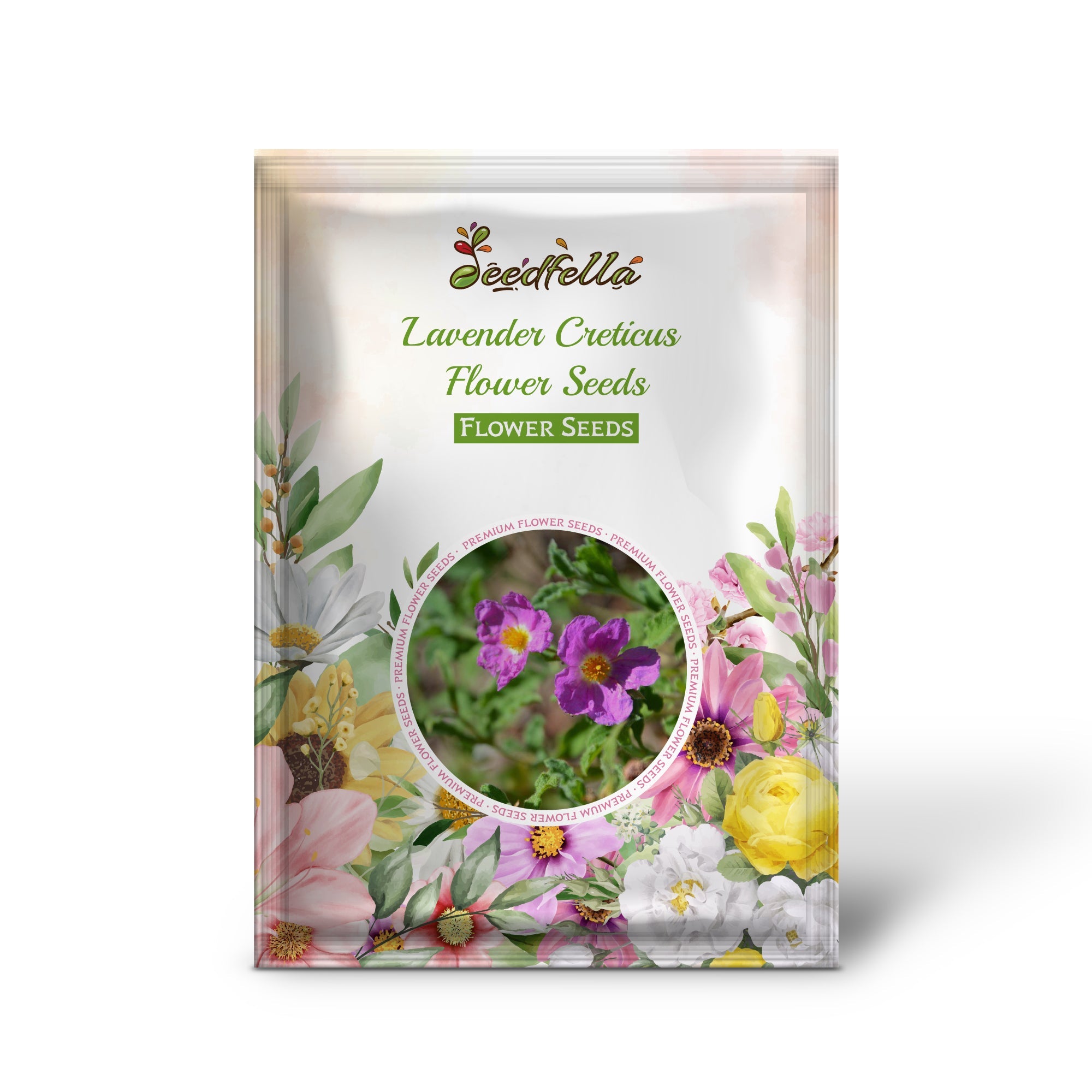 Lavender Creticus Flower Seeds for Planting - Aromatic Purple Blooms